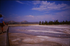 Yellowstone43