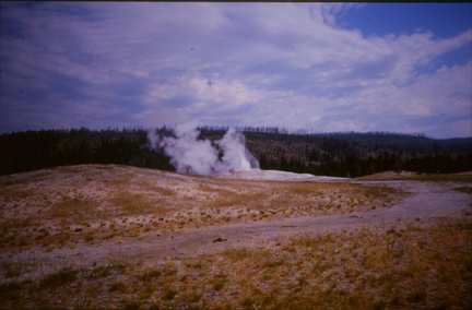 Yellowstone54