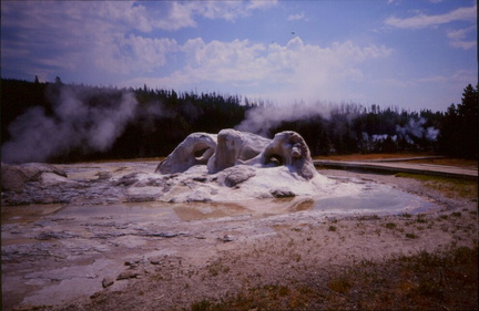 Yellowstone60