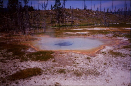 Yellowstone61