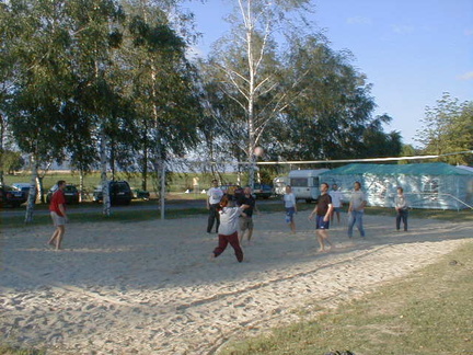 Beim Volleyball