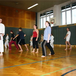 Karate Eisenstadt