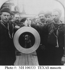 Crewmen pose with mascot dog and cat at the muzzle of one of the ship's 12&quot;/35 guns. The original photograph was copyrighted in 1900 by R.Y. Young, and published as a lightly color-tinted semi- transparency stereograph card by the American Stereoscop