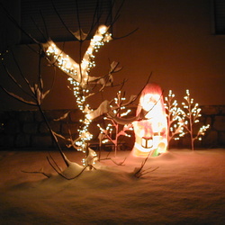 Vorgarten zu Weihnachten 2003