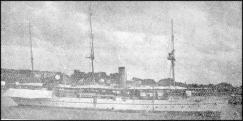 CADMUS, CLIO, ESPIEGLE, ODIN (1900-03). 1070 tons.
